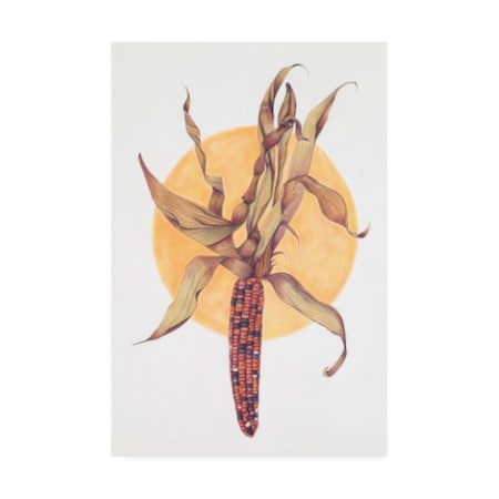 Deborah Kopka 'Indian Corn' Canvas Art,12x19
